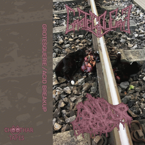 Grotesquerie : Grotesquerie - Acid Breakup